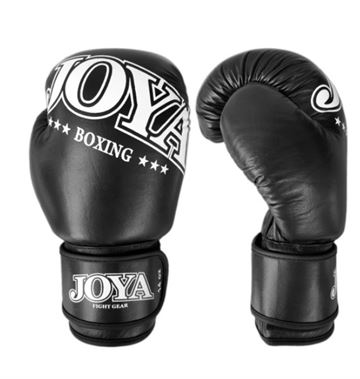Joya Boxing Gloves 